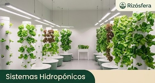 Sistemas inteligentes